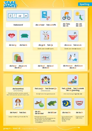 Afbeelding van Taaljacht groep 4 blok 1-8 spelling & grammatica categoriekaarten (set)