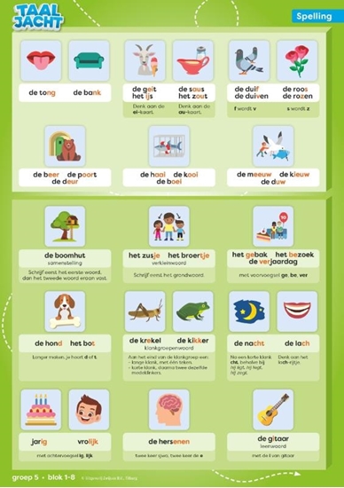 Afbeelding van Taaljacht groep 5 spelling & grammatica categoriekaarten (set)