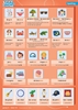 Afbeelding van Taaljacht Groep 6 spelling & grammatica categoriekaarten (set)