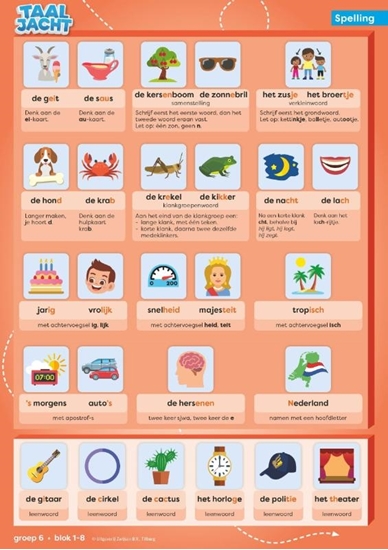 Afbeelding van Taaljacht Groep 6 spelling & grammatica categoriekaarten (set)