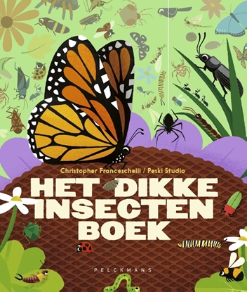 Afbeeldingen van Het dikke insectenboek