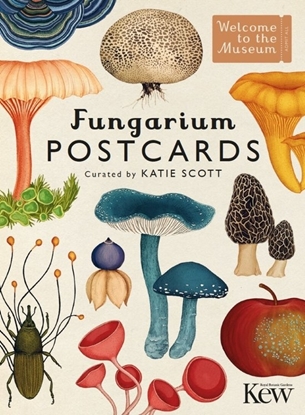 Afbeeldingen van Welcome To The Museum Fungarium Postcards