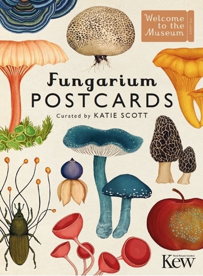 Afbeelding van Welcome To The Museum Fungarium Postcards