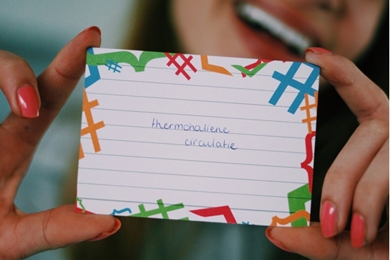 Afbeelding van Flashcards Examenbundel