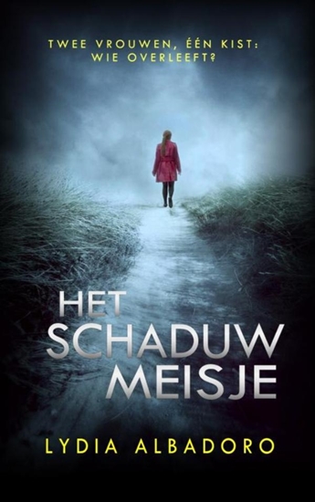 Afbeelding van Het schaduwmeisje