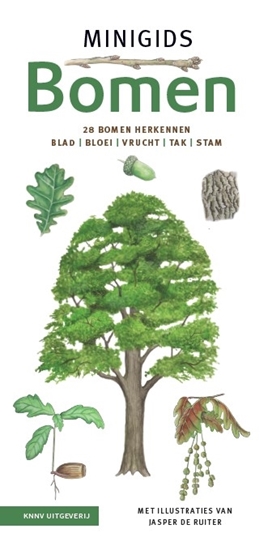 Afbeelding van Minigids Minigids bomen set