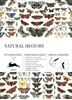 Afbeelding van Gift & creative papers Natural History