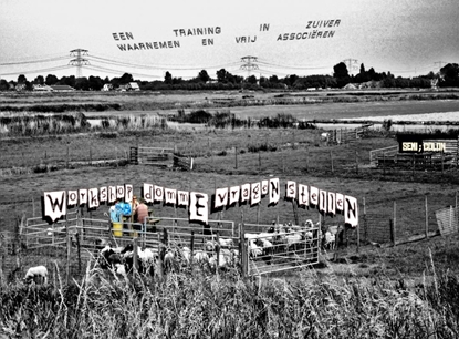 Afbeeldingen van WorkshoP dommE vrageN stelleN