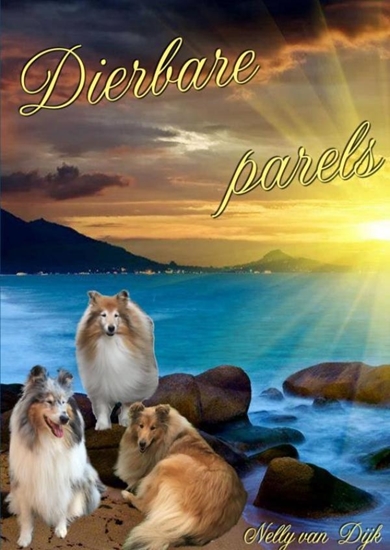 Afbeelding van Dierbare parels