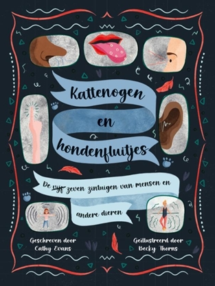 Afbeeldingen van Kattenogen en hondenfluitjes
