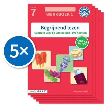 Afbeeldingen van Toetsbaas Begrijpend lezen werkboek 1 (Set van 5)