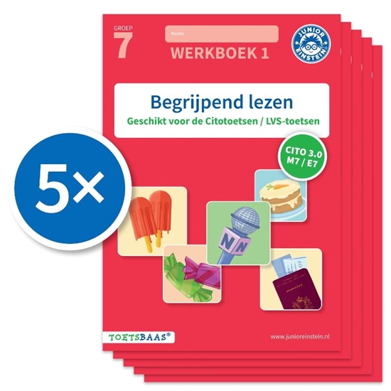 Afbeelding van Toetsbaas Begrijpend lezen werkboek 1 (Set van 5)