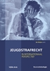 Afbeelding van Studieboeken Criminologie & Veiligheid Jeugdstrafrecht
