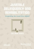 Afbeelding van Juvenile Delinquency and Rehabilitation