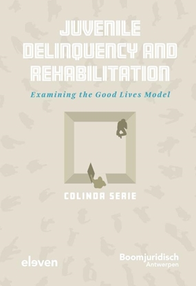 Afbeeldingen van Juvenile Delinquency and Rehabilitation