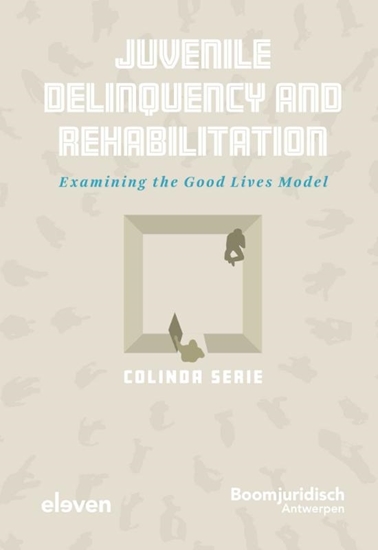 Afbeelding van Juvenile Delinquency and Rehabilitation