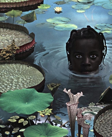 Afbeelding van Ruud van Empel - 25 Years of Photo Works 1995-2020