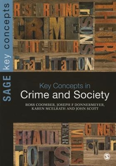 Afbeelding van Key Concepts in Crime and Society