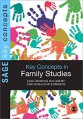 Afbeeldingen van Key Concepts in Family Studies