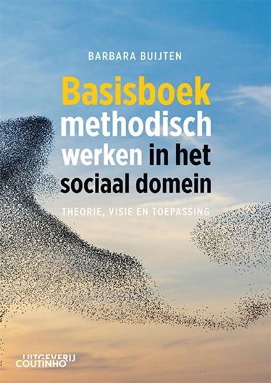 Afbeelding van Basisboek methodisch werken in het sociaal domein