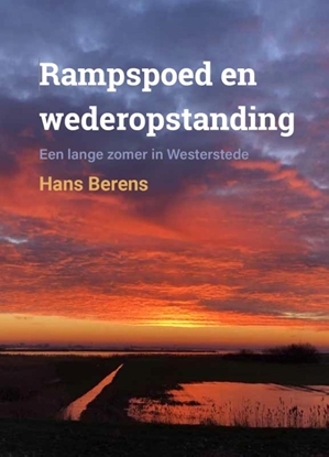 Afbeeldingen van Rampspoed en Wederopstanding