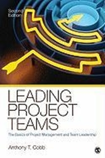 Afbeelding van Leading Project Teams