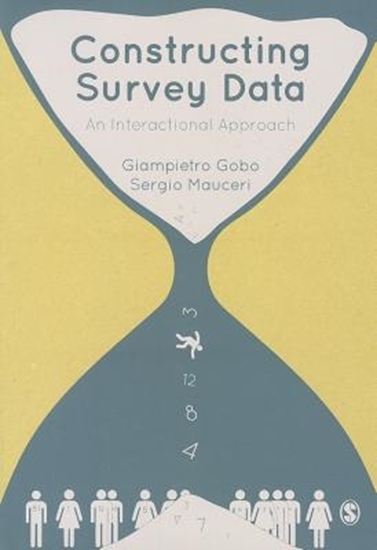 Afbeelding van Constructing Survey Data: An Interactional Approach