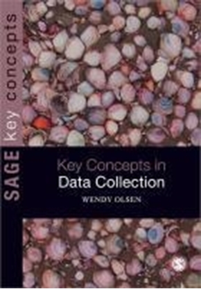 Afbeeldingen van Data Collection: Key Debates and Methods in Social Research