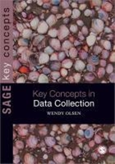 Afbeelding van Data Collection: Key Debates and Methods in Social Research
