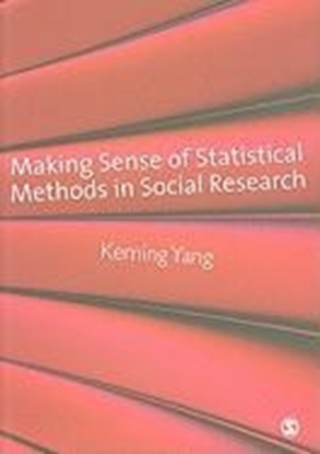 Afbeeldingen van Making Sense of Statistical Methods in Social Research