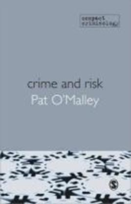 Afbeeldingen van Crime and Risk