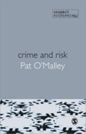 Afbeelding van Crime and Risk
