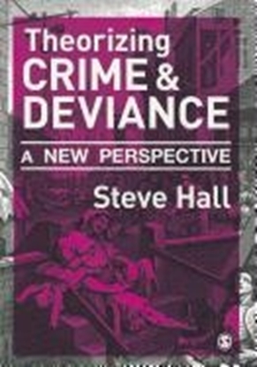 Afbeeldingen van Theorizing Crime and Deviance: A New Perspective