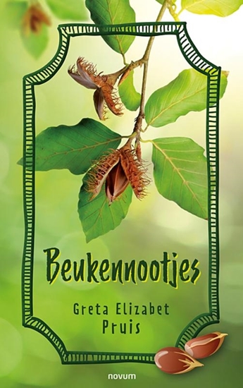 Afbeelding van Beukennootjes