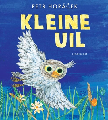 Afbeeldingen van Kleine Uil