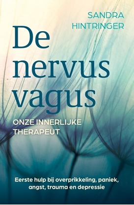 Afbeeldingen van De nervus vagus, onze innerlijke therapeut