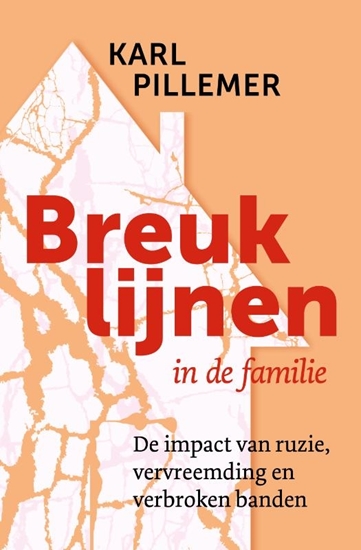 Afbeelding van Breuklijnen in de familie