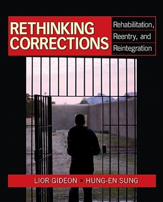 Afbeeldingen van Community Projects as Social Activism: From Direct Action to Direct Services
