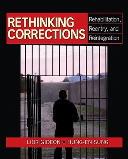 Afbeelding van Community Projects as Social Activism: From Direct Action to Direct Services