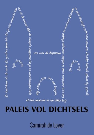 Afbeelding van Paleis vol Dichtsels