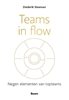 Afbeelding van Teams in flow