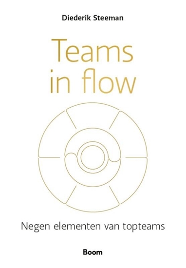 Afbeelding van Teams in flow
