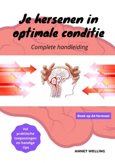 Afbeelding van Je hersenen in optimale conditie