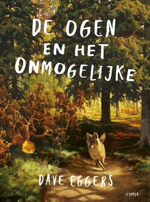 Afbeeldingen van De ogen en het onmogelijke