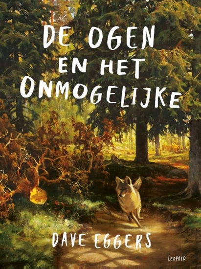 Afbeelding van De ogen en het onmogelijke