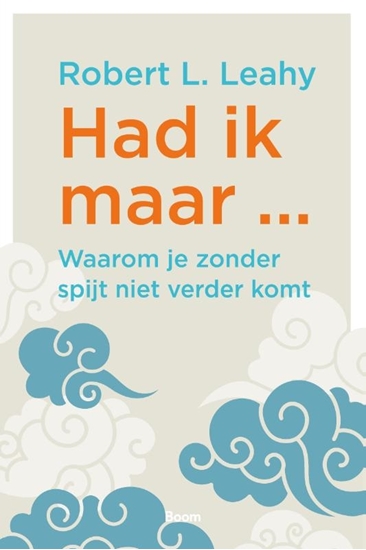 Afbeelding van Had ik maar ...