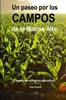Afbeelding van Paseo por los campos de la Marina Alta
