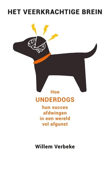 Afbeelding van Het veerkrachtige brein