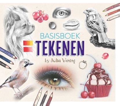 Afbeeldingen van Basisboek tekenen