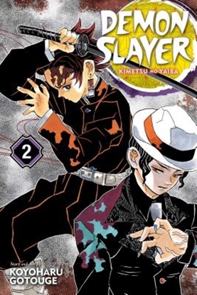 Afbeeldingen van Demon Slayer: Kimetsu no Yaiba Demon Slayer: Kimetsu no Yaiba, Vol. 2